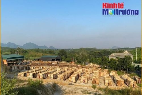 Thanh Hóa: Chỉ đạo quyết liệt việc giải bài toán khó trong xử lý vi phạm