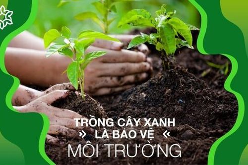 Thái Nguyên: Tuyên truyền Ngày Môi trường thế giới và Tháng hành động vì môi trường năm 2024