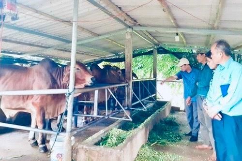 Bài 1: Triển khai đồng bộ, hiệu quả các chính sách