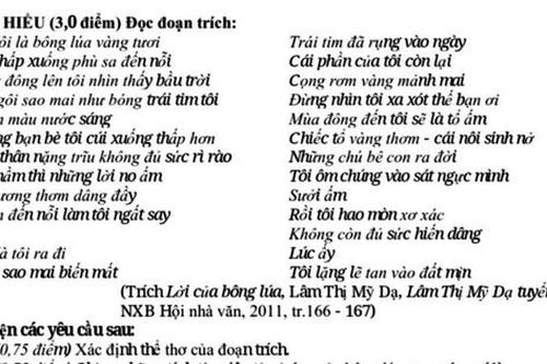 Đề thi thử Ngữ văn: Bài học gì về lẽ sống qua 'Lời của bông lúa'