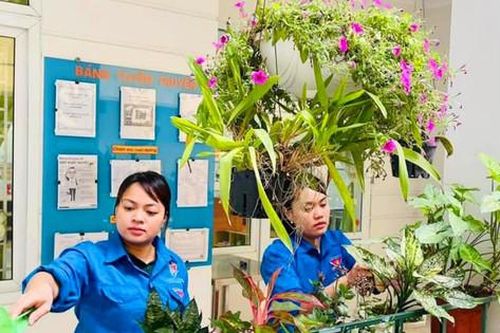 Tuổi trẻ Thủ đô hào hứng với Ngày Chủ nhật xanh