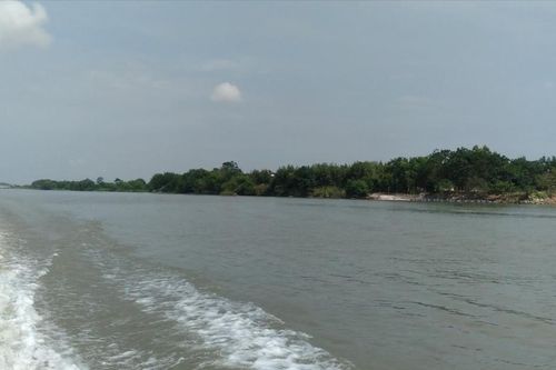 Lại mong được nếm cua da