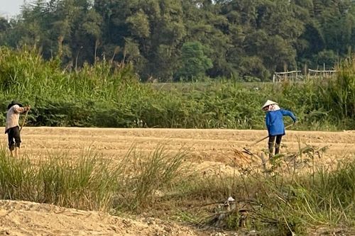 Quảng Ngãi: làm gì để 'thúc' cơ giới hóa trong nông nghiệp?