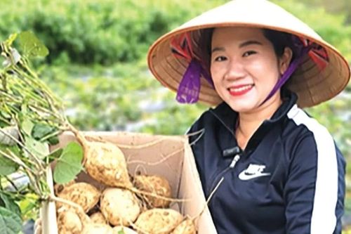 Những 'sứ giả' nối tình hữu nghị: Lan tỏa nét đẹp quê hương