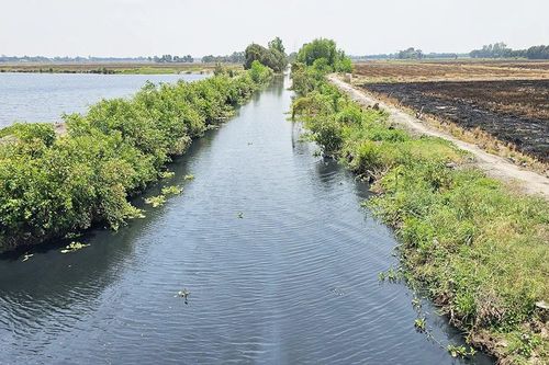 Điều tra nguyên nhân ô nhiễm các dòng kênh giáp ranh giữa Long An và Tiền Giang