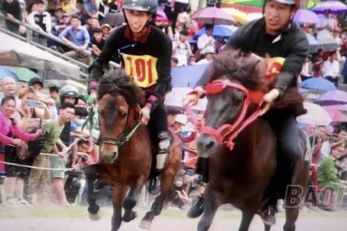Lào Cai: Nhiều hoạt động đặc sắc, hấp dẫn 'Festival cao nguyên trắng Bắc Hà'