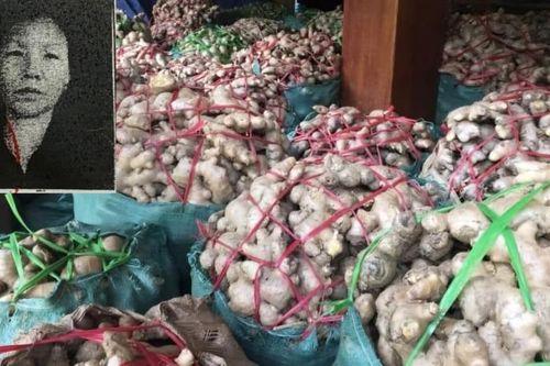 Truy nã nữ giám đốc lừa góp vốn mua hàng nông sản rồi ôm tiền bỏ trốn