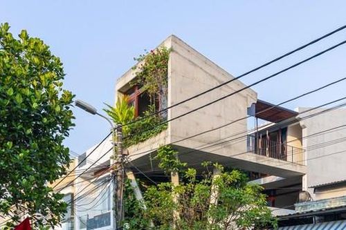 Độc lạ nhà tổ chim bằng bê tông thô