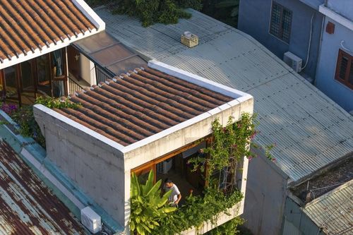 Khám phá 'tổ chim' tràn ngập cây xanh của vợ chồng nhà báo