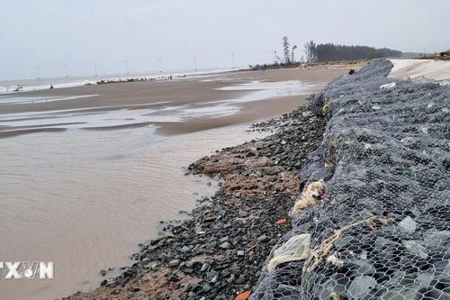 Trà Vinh: Công bố tình huống khẩn cấp sự cố sạt lở bờ sông khu vực ấp Bà Trầm
