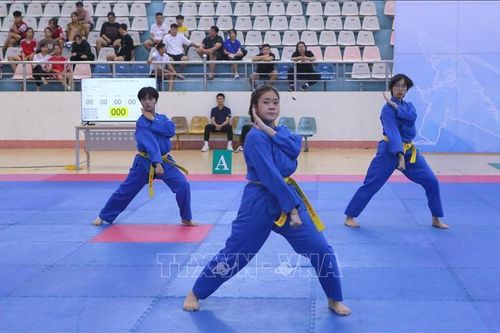 Trên 250 vận động viên tham dự Giải Vô địch Vovinam miền Bắc năm 2024
