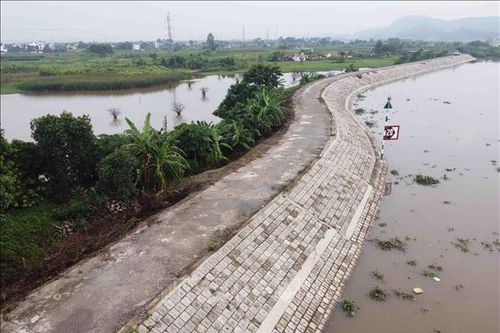 An toàn đê điều mùa mưa bão - Bài 1: Nỗ lực nâng cấp hệ thống đê điều