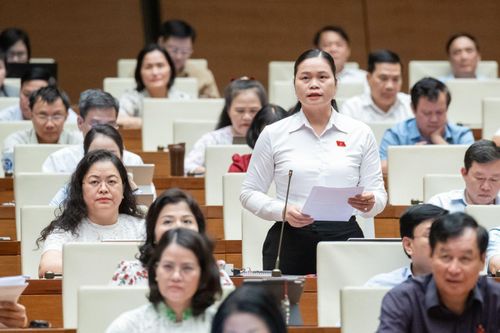 Nhiều ý kiến thảo luận về dự thảo Luật Bảo hiểm xã hội (sửa đổi)