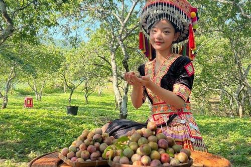 Phát huy nội lực của đồng bào dân tộc thiểu số để giảm nghèo bền vững (1)