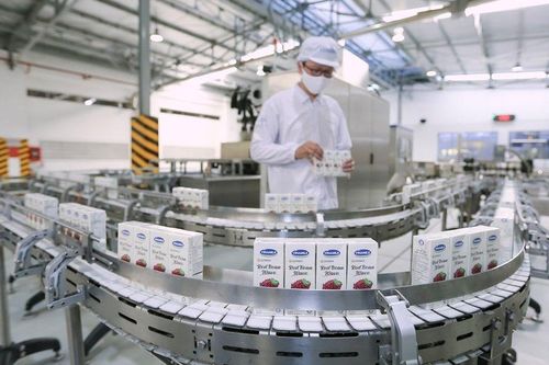 Doanh nghiệp ngành sữa 'thấm mệt' ngay trong quý đầu năm 2024