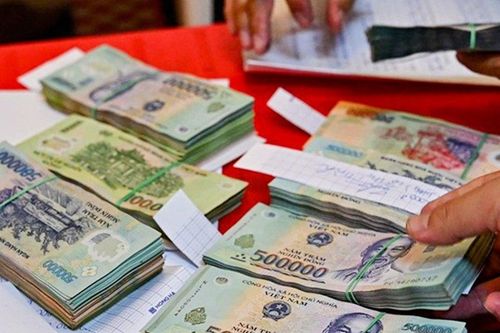 Lâm Đồng: Phá đường dây ma túy dưới vỏ bọc chăm sóc cây cảnh