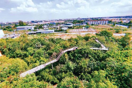 TPHCM có thể tái sinh đô thị từ những bãi rác?