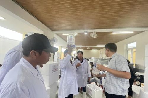 Mebi-Group chính thức tham gia vào ngành tôm Việt Nam
