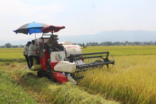 Nâng cao nhận thức về nông nghiệp hữu cơ