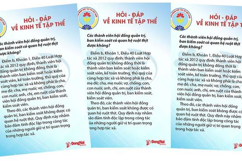 Các thành viên hội đồng quản trị, ban kiểm soát có quan hệ ruột thịt được không?