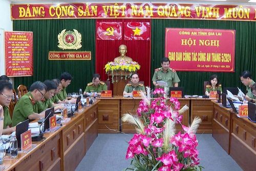Gia Lai: Số vụ phạm pháp hình sự trong tháng 5 giảm 23%