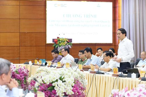 Tháo gỡ khó khăn, sớm đưa Nhà máy Gang thép Lào Cai hoạt động trở lại