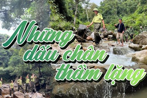 Những dấu chân thầm lặng