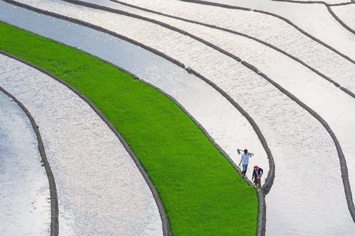 Bức bích họa giữa non cao