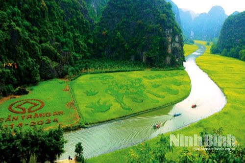 Ngược dòng Ngô Đồng về nơi khởi thủy nghề nông