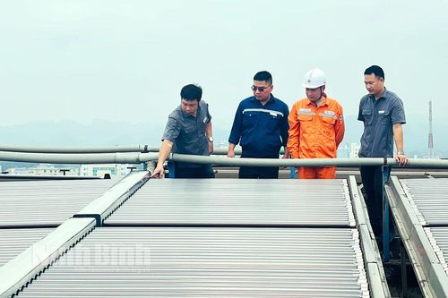 Công ty Điện lực Ninh Bình: Quyết liệt các giải pháp tiết kiệm điện