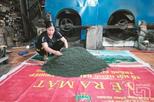 Chi hội trưởng nông dân làm dân vận khéo