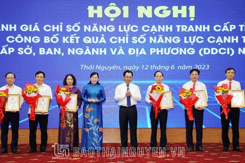 Kết quả xếp hạng năng lực cạnh tranh cấp sở, ngành và địa phương (DDCI) trên địa bàn tỉnh Thái Nguyên năm 2023