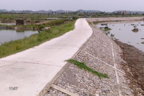 Nghệ An: Thực hiện công tác duy tu, bảo dưỡng đê điều năm 2024