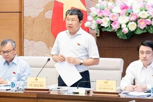 Ủy ban Đối ngoại họp phiên toàn thể lần thứ 8
