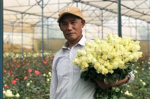 Công nghệ phù hợp giúp HTX nâng hiệu quả sản xuất