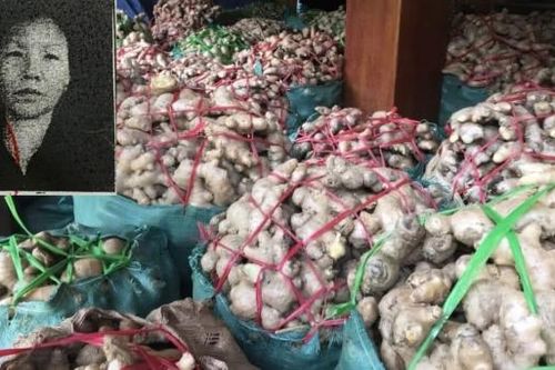 'Vay tiền' đi buôn gừng và nghệ, nữ giám đốc chiếm đoạt hơn 4,5 tỷ đồng