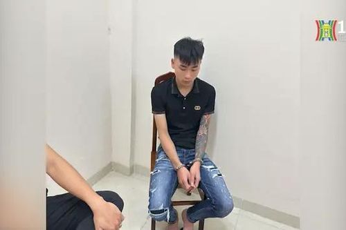Khởi tố hai thanh niên cướp giật tài sản của phụ nữ
