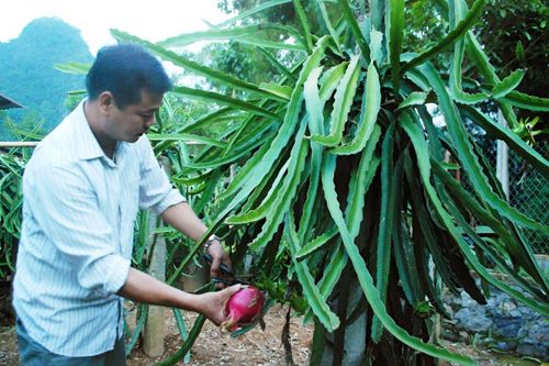 Vũ Ngược xây dựng nông thôn mới
