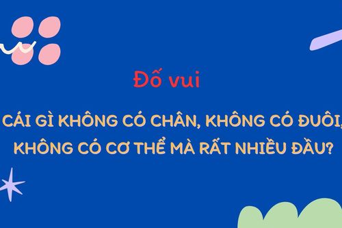 Cái gì không có chân, không có đuôi, không có cơ thể mà rất nhiều đầu?