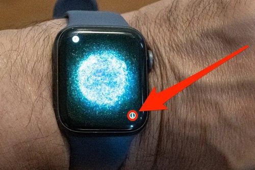 Biểu tượng chữ i trên Apple Watch là gì?