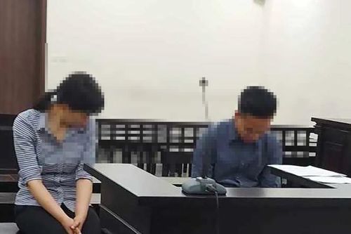 Xét xử giám đốc Công ty Việt Trung về tội trốn thuế