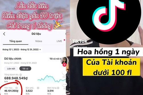 Có gì đằng sau cuốn sách best-seller trên TikTok?