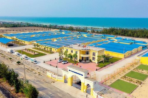 Mebi Group đi bán tôm giống