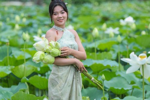 Hà Nội: giới trẻ đi từ 5giờ 30 sáng, bỏ tiền triệu 'check-in' với hoa sen