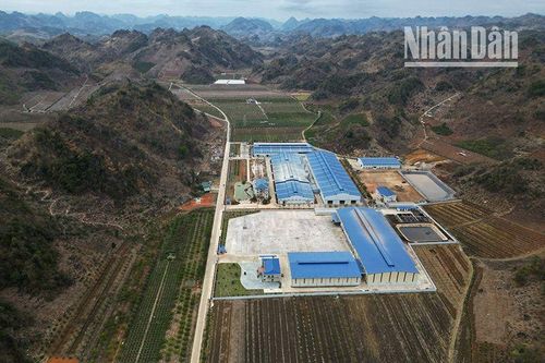 Cần làm rõ những sai phạm của 2 dự án lớn ở Sơn La