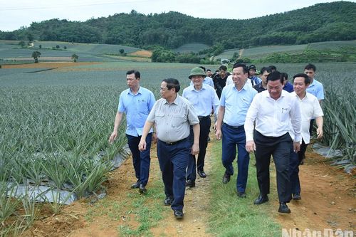 Thủ tướng Phạm Minh Chính khảo sát một số cơ sở, công trình trọng điểm tại Ninh Bình