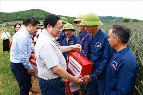 Thủ tướng Phạm Minh Chính thăm, làm việc tại Ninh Bình