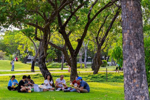 Liệu pháp dễ thực hiện giúp giảm căng thẳng, lo âu