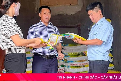 Hà Tĩnh tăng cường quản lý chất lượng giống, vật tư nông nghiệp