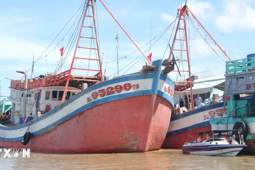 Bạc Liêu: Chi phí tăng, ngư dân trăn trở cho tàu nằm bờ hay vươn khơi